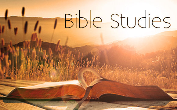 Bible study materials